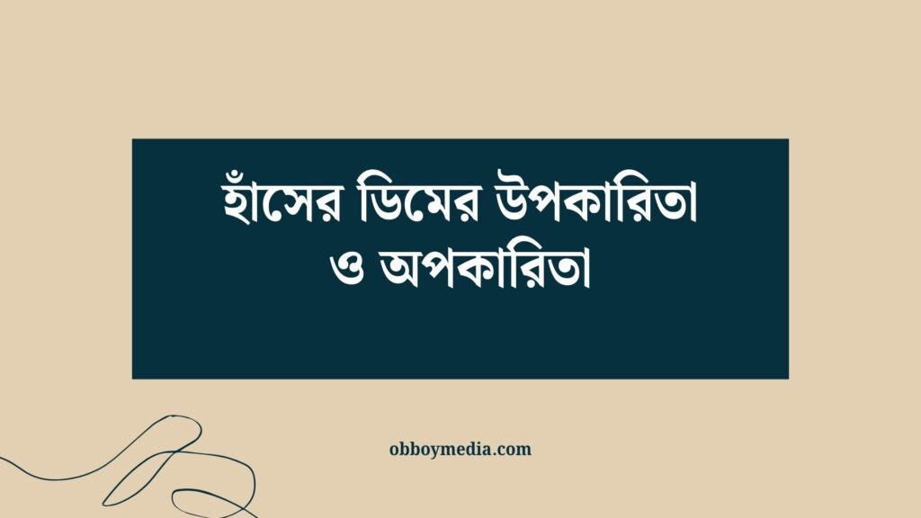 হাঁসের ডিমের উপকারিতা ও অপকারিতা
