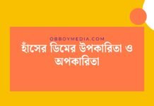 হাঁসের ডিমের উপকারিতা ও অপকারিতা