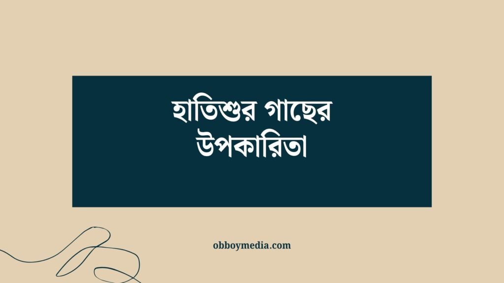 হাতিশুর গাছের উপকারিতা