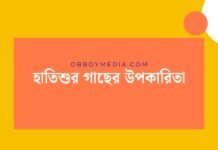 হাতিশুর গাছের উপকারিতা