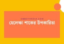 হেলেঞ্চা শাকের উপকারিতা